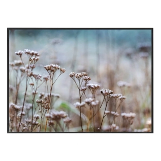 Winter flower